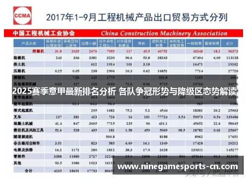 2025赛季意甲最新排名分析 各队争冠形势与降级区态势解读