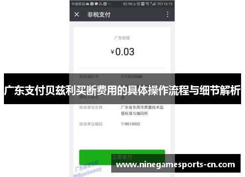 广东支付贝兹利买断费用的具体操作流程与细节解析
