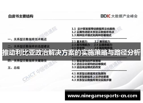推动利比亚政治解决方案的实施策略与路径分析